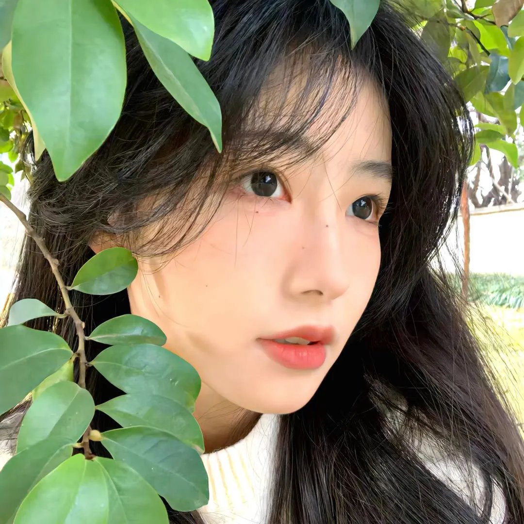 花木兰的秘密